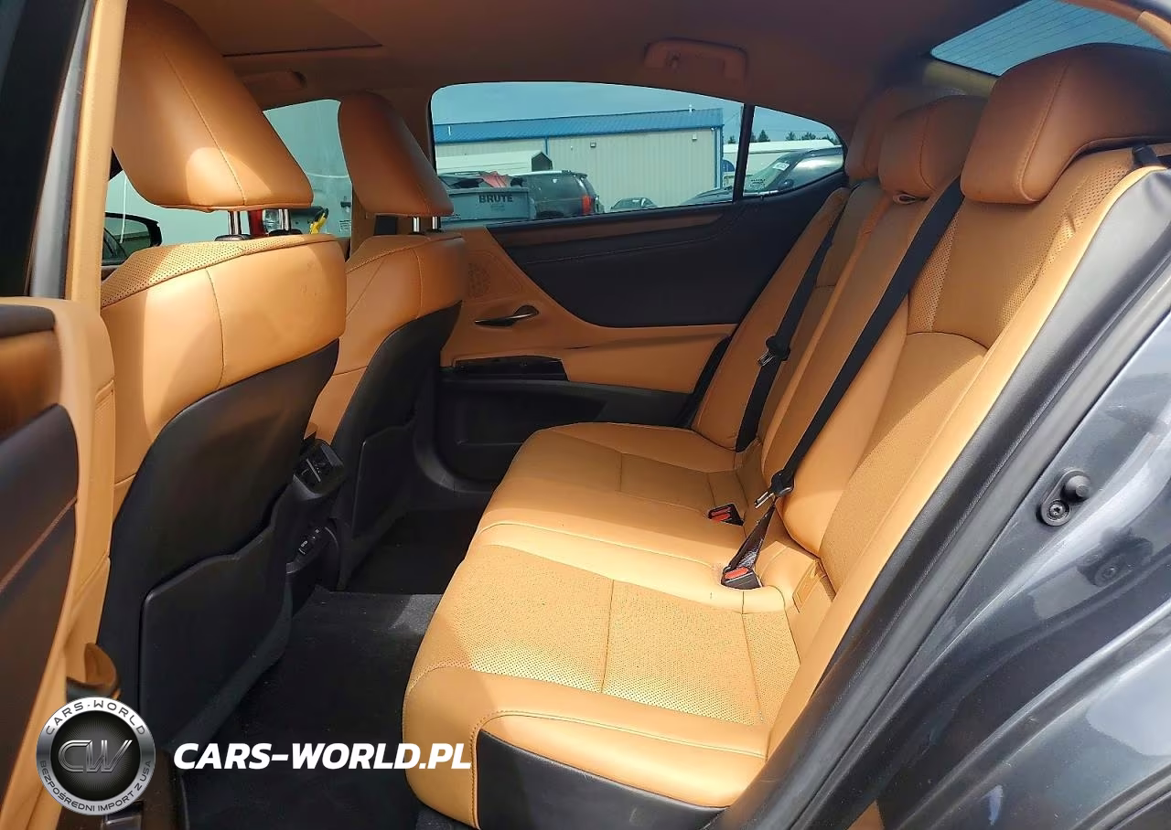 2022 Lexus Es 350 Base VIN:58ADZ1B10NU121876 - 10