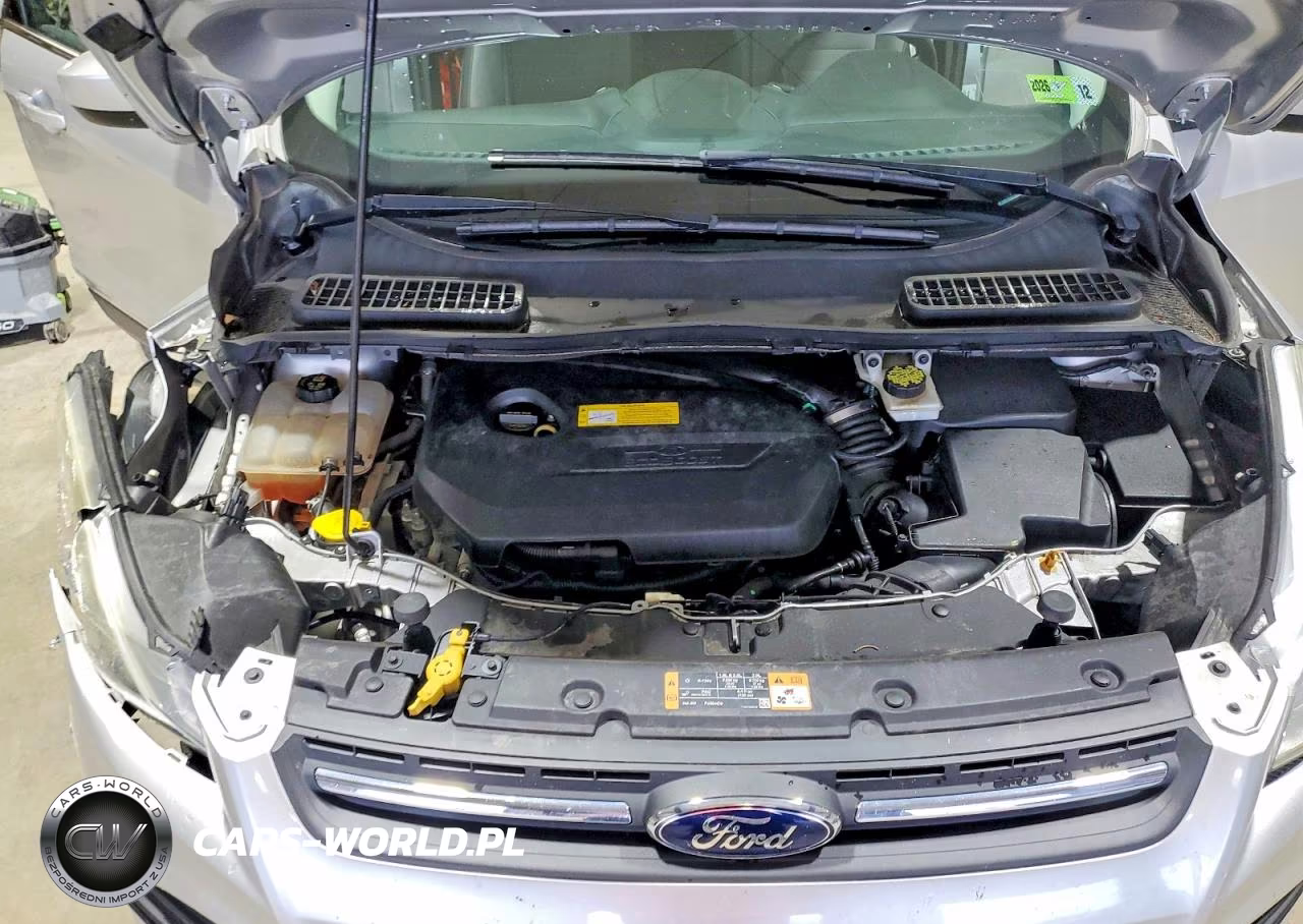 2016 Ford Escape Se VIN:1FMCU0GX6GUA04699 - 12