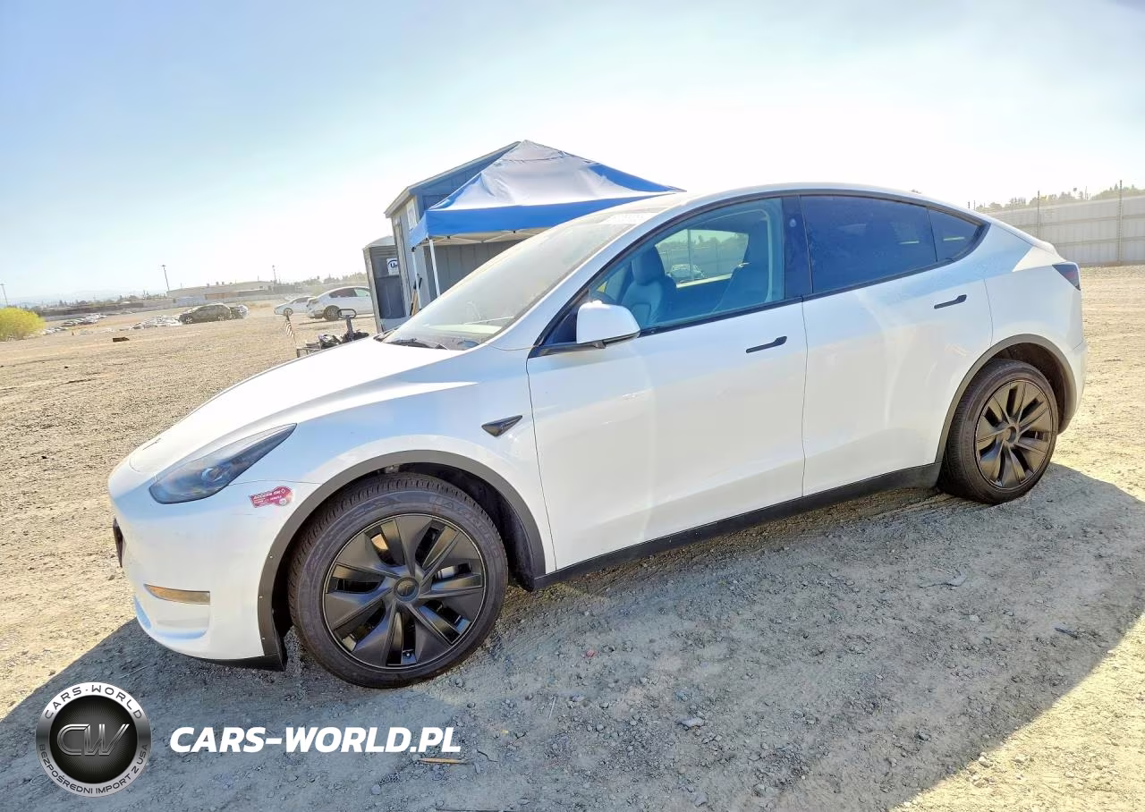 2025 Tesla Model Y VIN:7SAYGAEE0SF249043 - 1