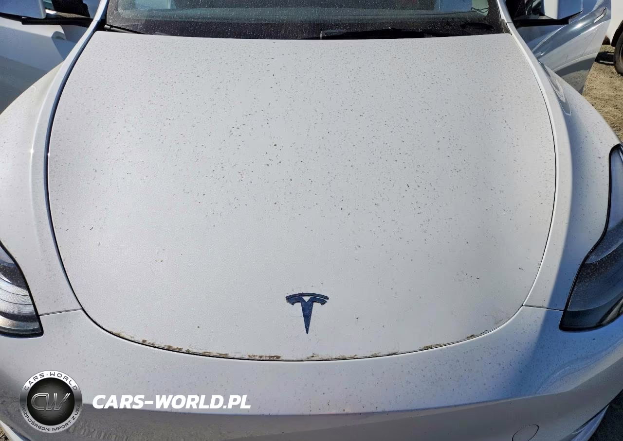 2025 Tesla Model Y VIN:7SAYGAEE0SF249043 - 11