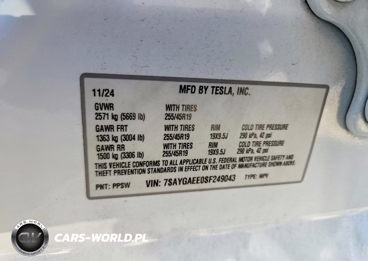 2025 Tesla Model Y VIN:7SAYGAEE0SF249043 - 12