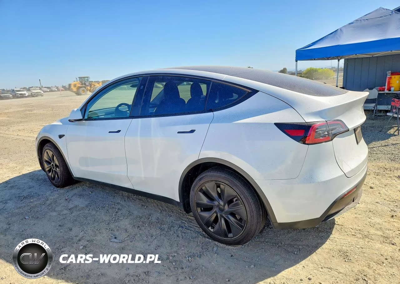 2025 Tesla Model Y VIN:7SAYGAEE0SF249043 - 2