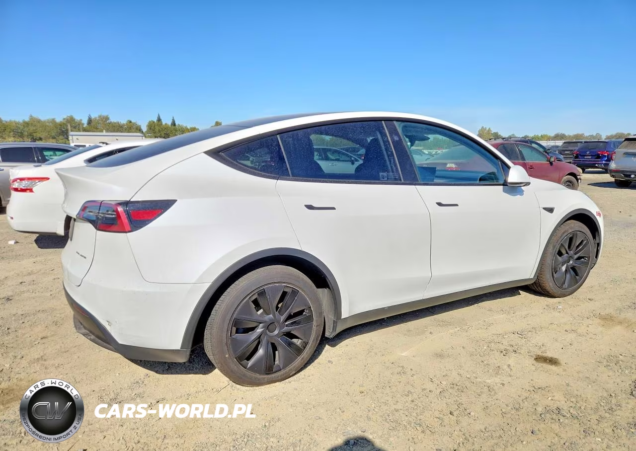2025 Tesla Model Y VIN:7SAYGAEE0SF249043 - 3