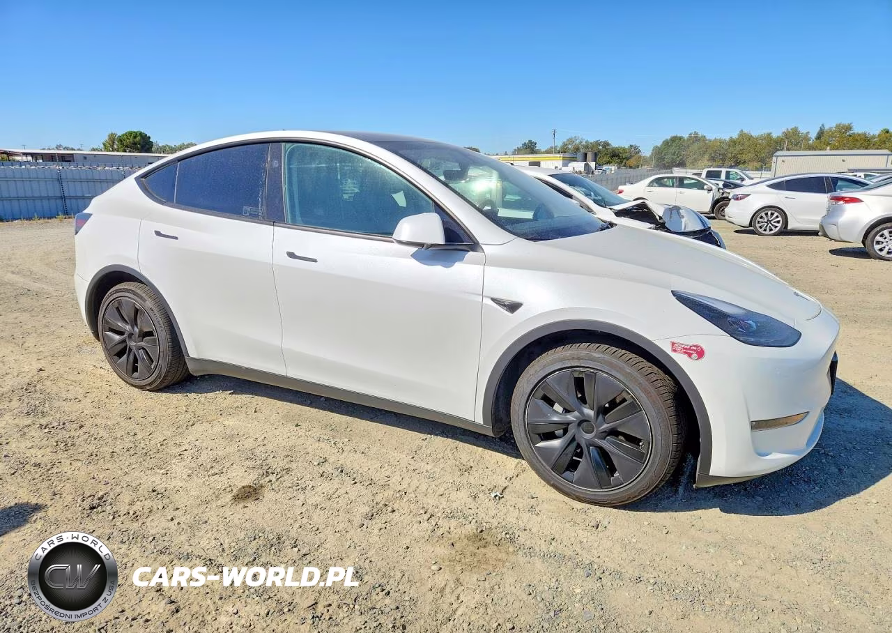 2025 Tesla Model Y VIN:7SAYGAEE0SF249043 - 4