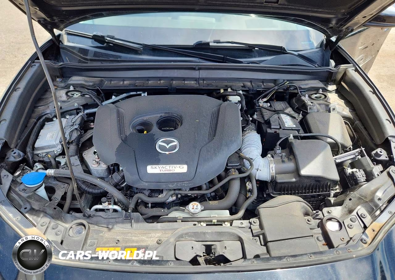 2022 Mazda Cx-30 Premium Plus VIN:3MVDMBEY7NM432474 - 12
