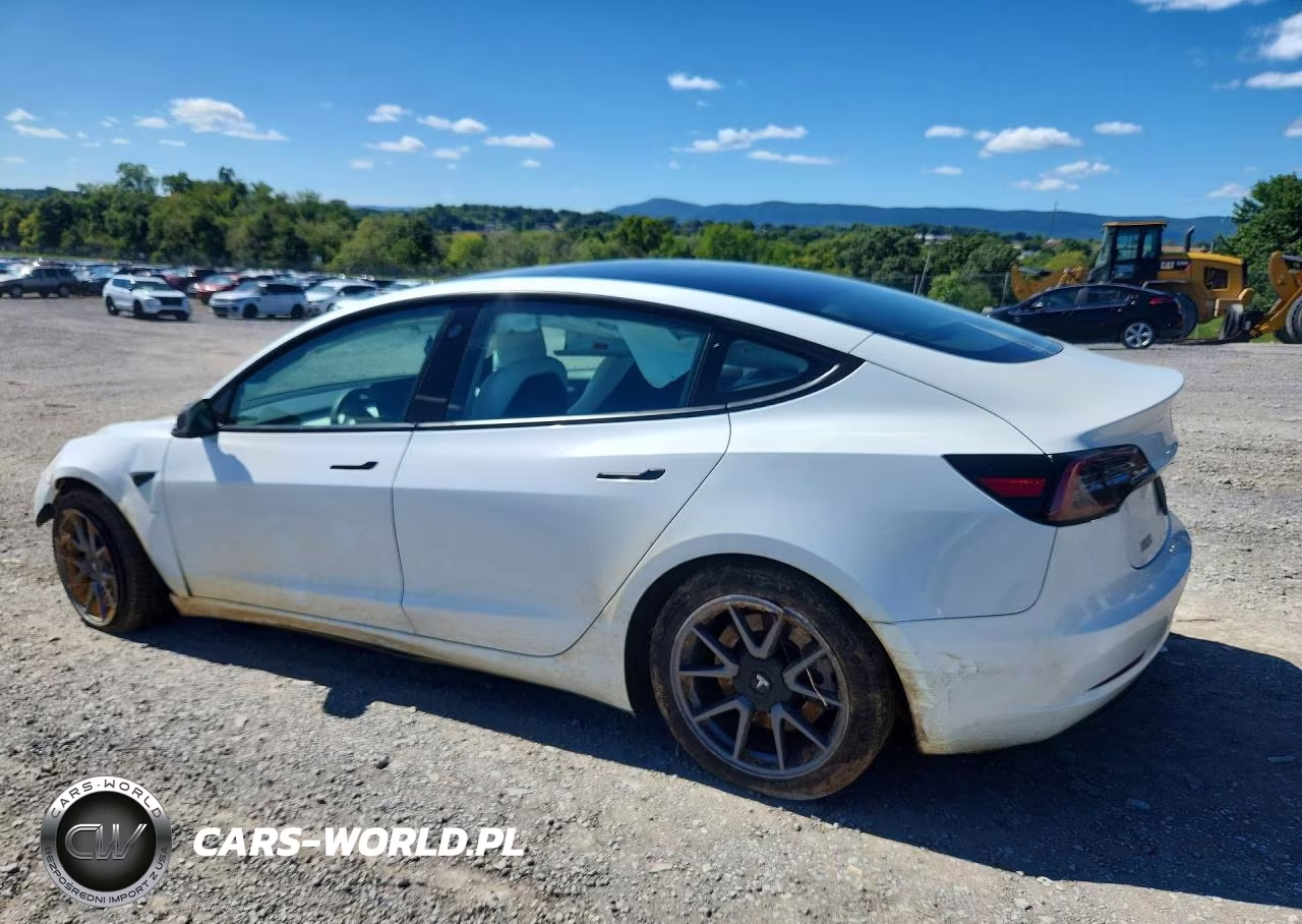 2023 Tesla Model 3 VIN:5YJ3E1EA6PF382424 - 2