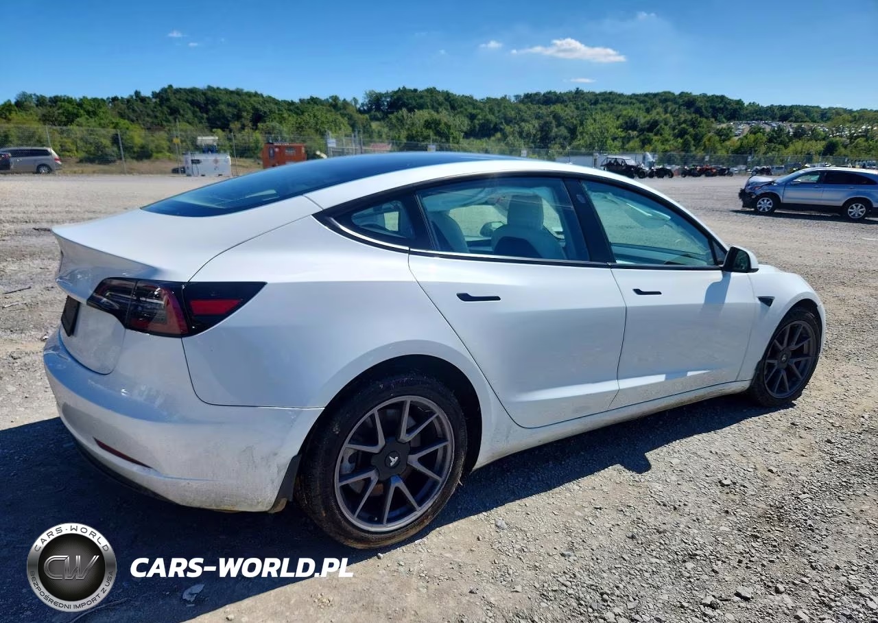 2023 Tesla Model 3 VIN:5YJ3E1EA6PF382424 - 3