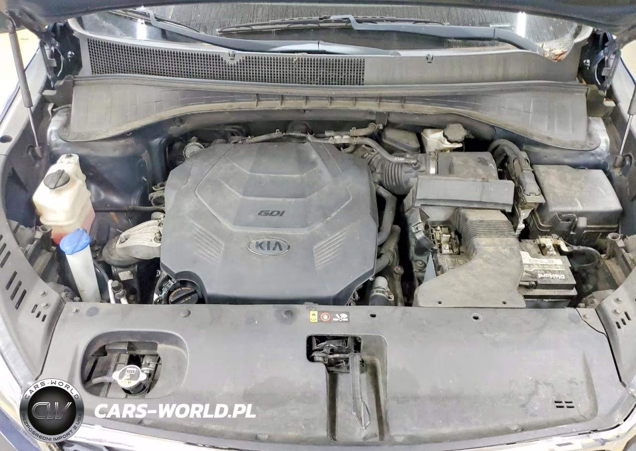 2019 Kia Sorento Lx V6 VIN:5XYPG4A52KG490448 - 12