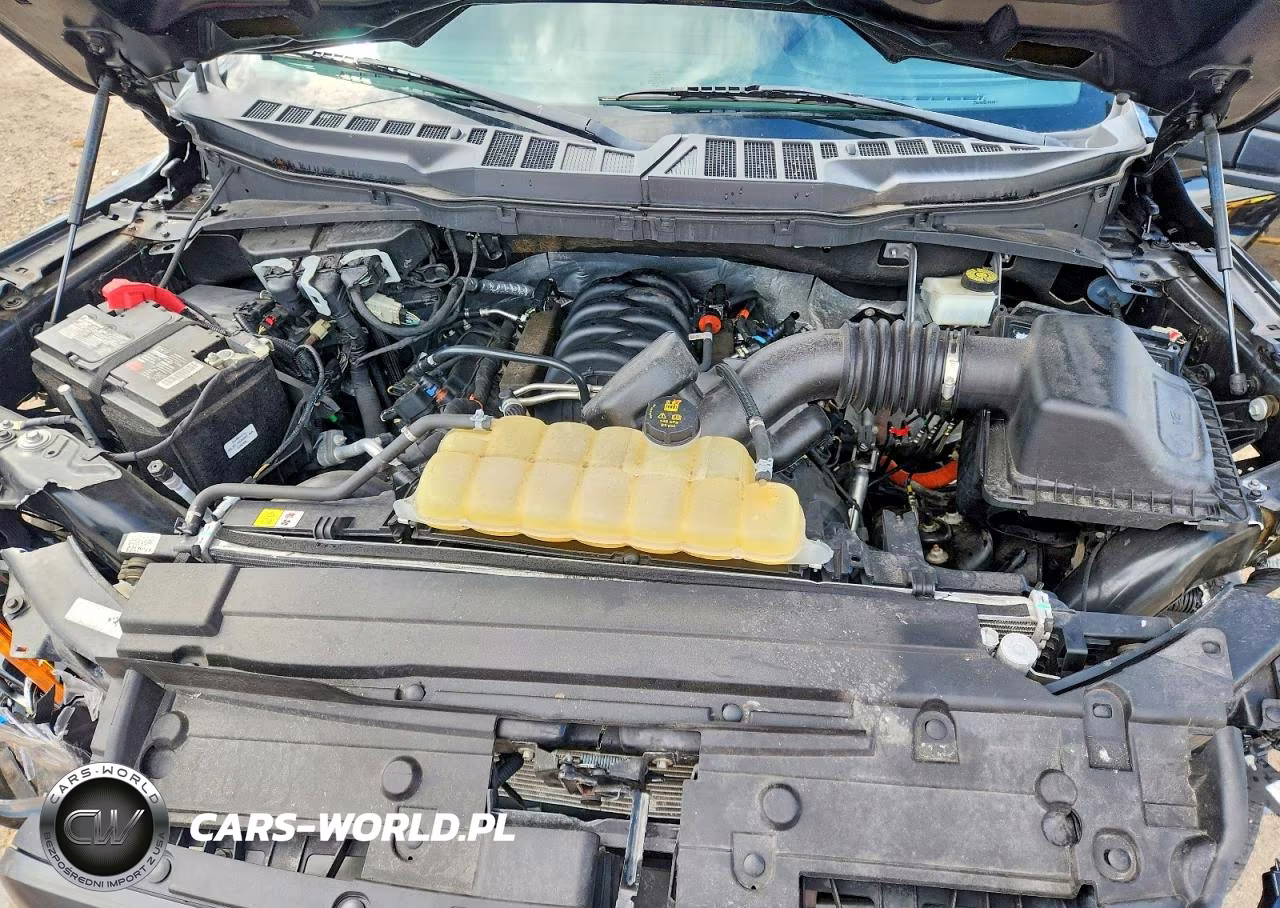 2022 Ford F150 Supercrew VIN:1FTFW1E56NKE35975 - 11