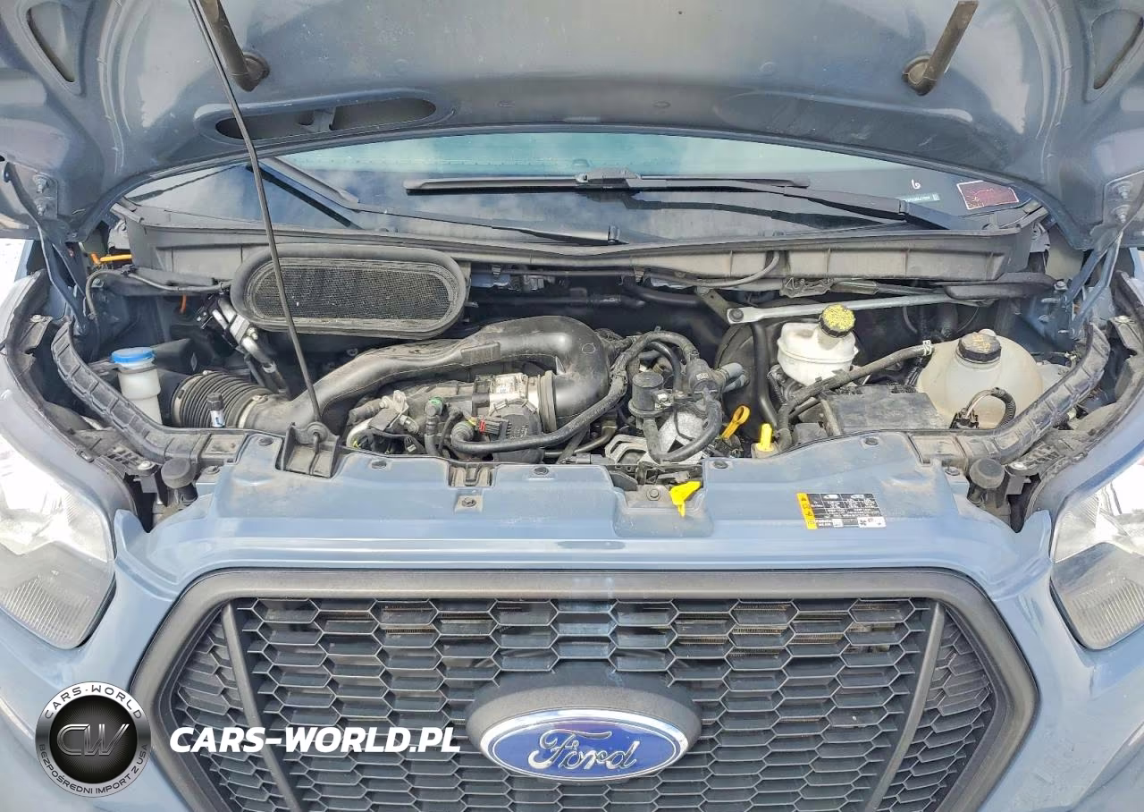 2021 Ford Transit Delivery Truck VIN:1FDDF6P8XMKA76894 - 12