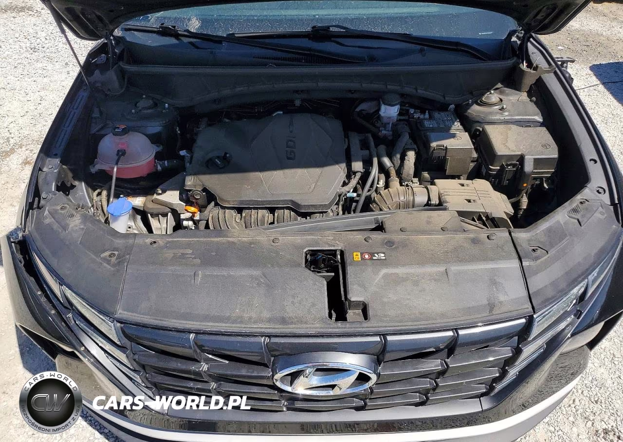2024 Hyundai Tucson Sel VIN:5NMJB3DE1RH366973 - 12