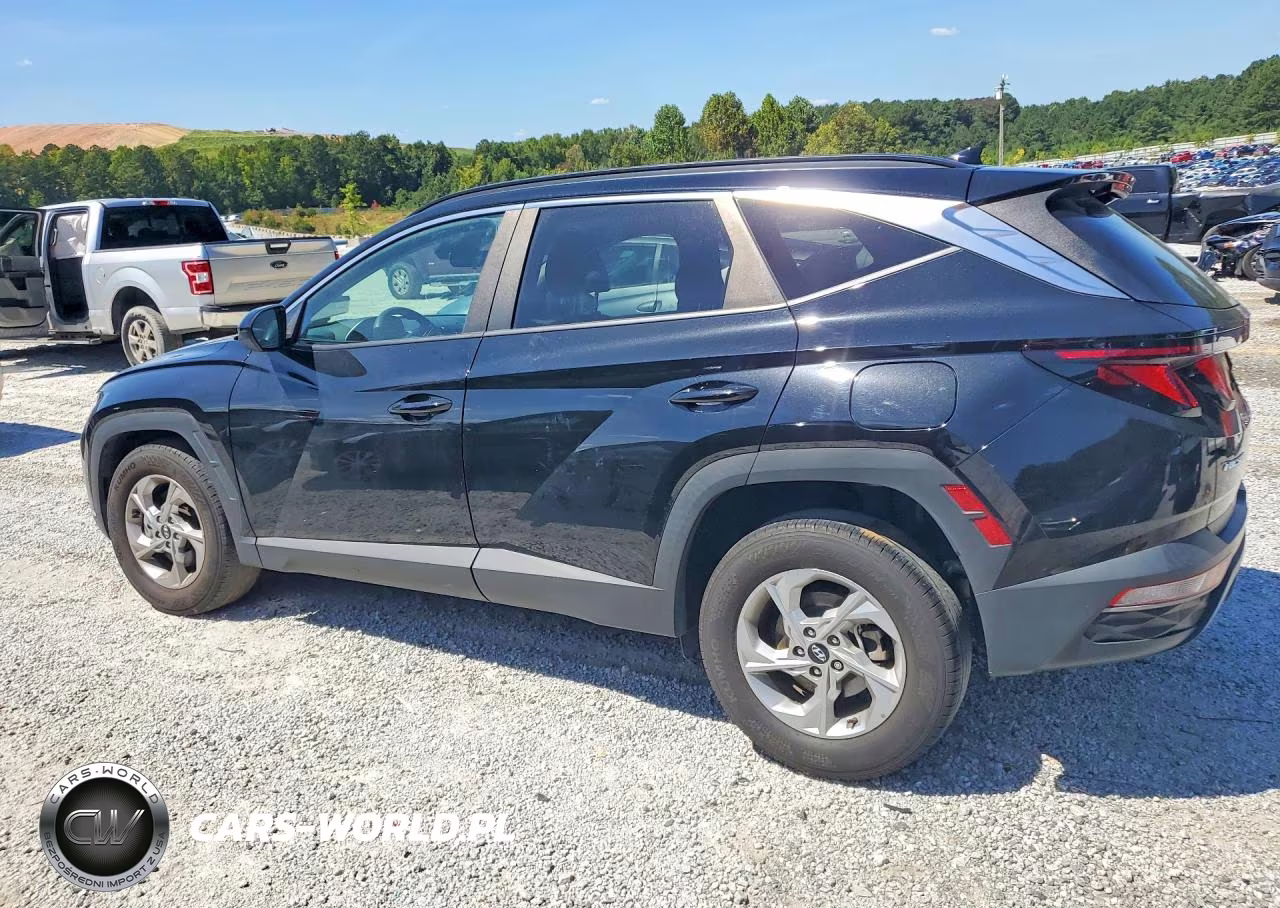 2024 Hyundai Tucson Sel VIN:5NMJB3DE1RH366973 - 2