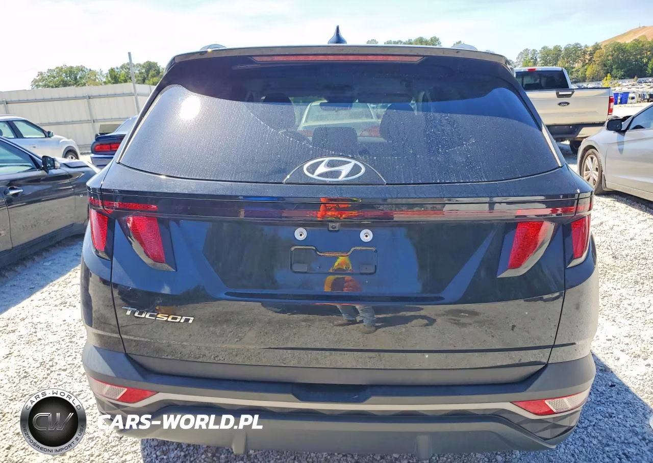 2024 Hyundai Tucson Sel VIN:5NMJB3DE1RH366973 - 6
