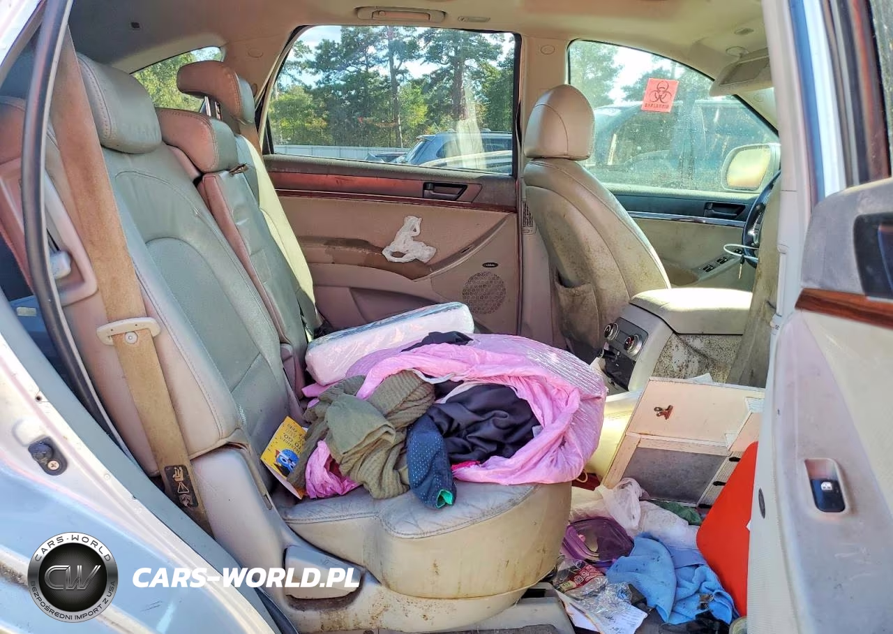 2007 Hyundai Veracruz Gls VIN:KM8NU13C67U005191 - 10
