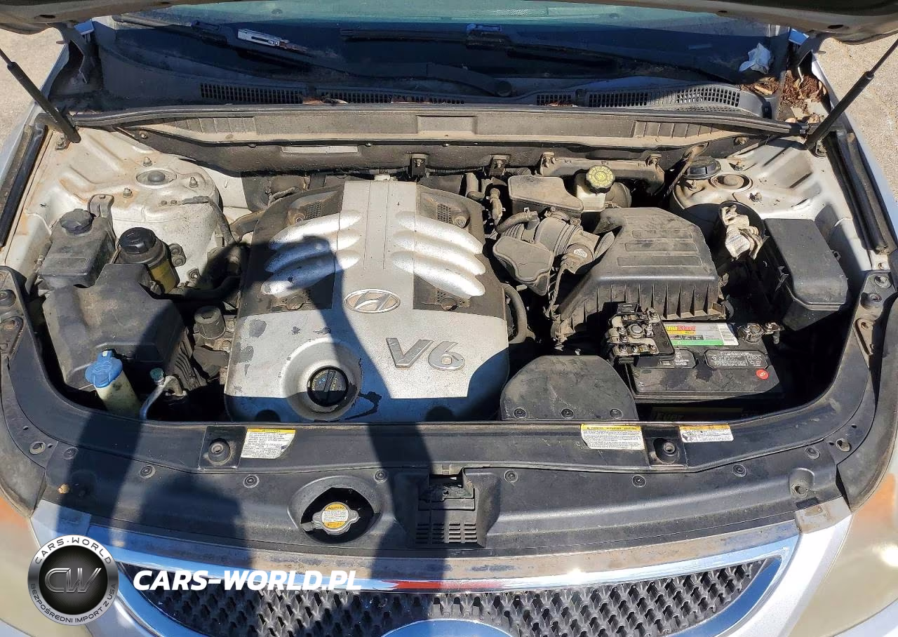 2007 Hyundai Veracruz Gls VIN:KM8NU13C67U005191 - 11