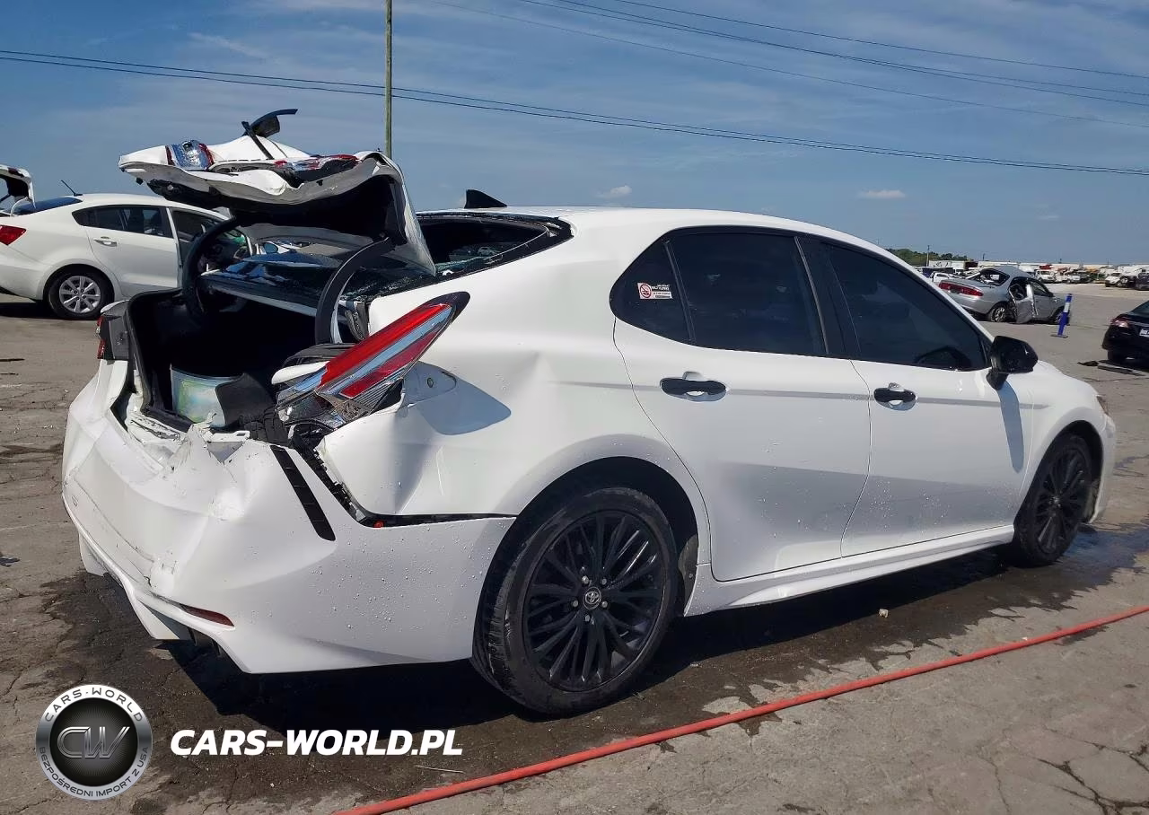 2019 Toyota Camry Se VIN:4T1B11HKXKU287856 - 3