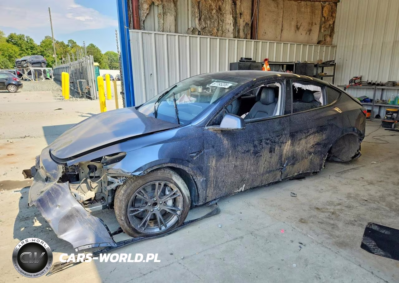 2025 Tesla Model Y VIN:7SAYGDED5SA377011 - 1