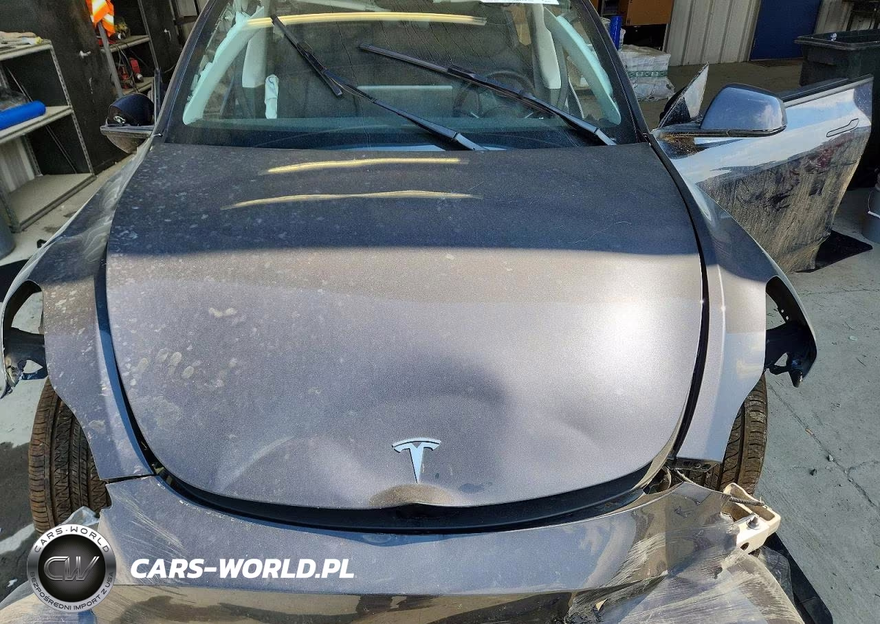 2025 Tesla Model Y VIN:7SAYGDED5SA377011 - 11