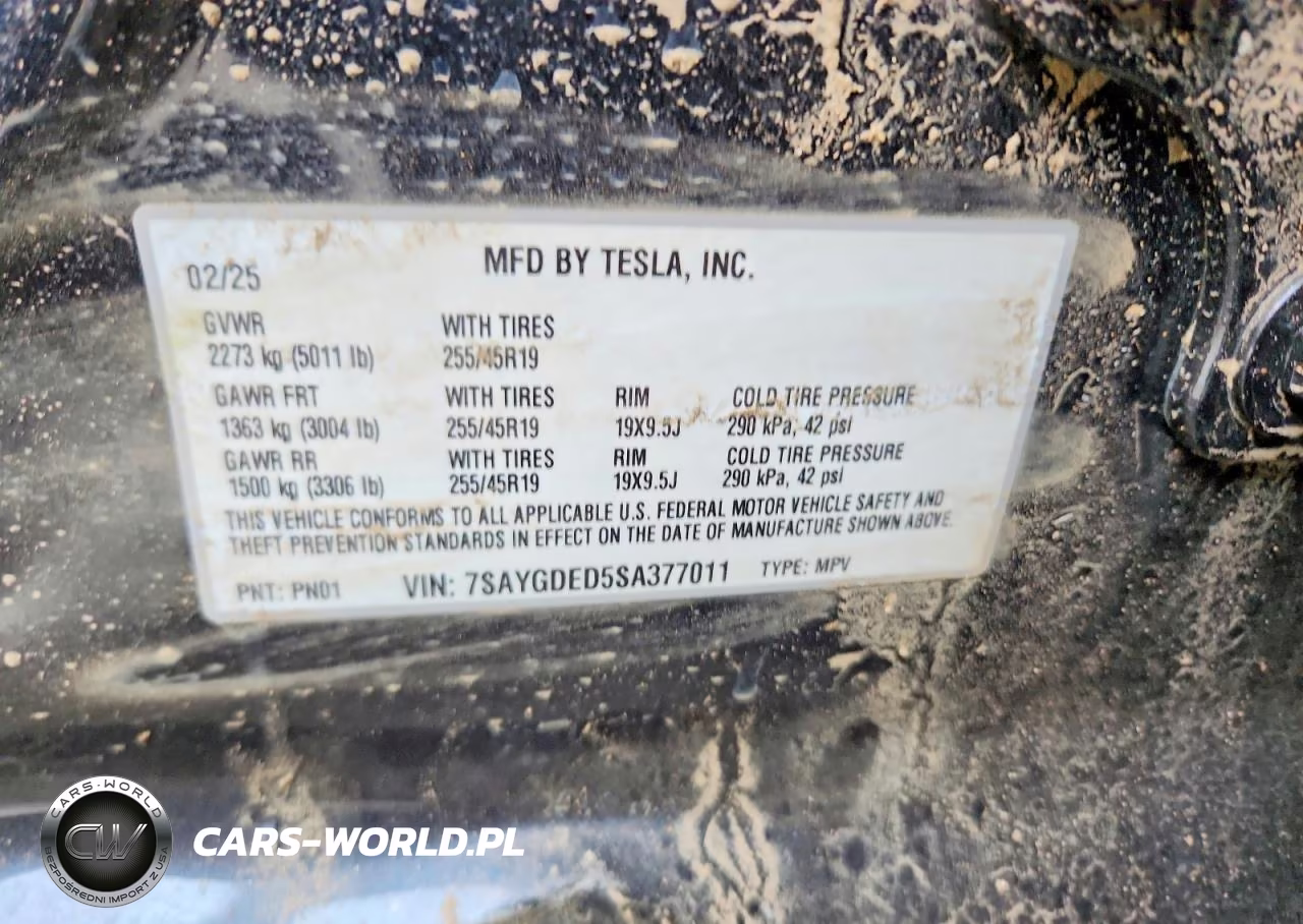 2025 Tesla Model Y VIN:7SAYGDED5SA377011 - 12