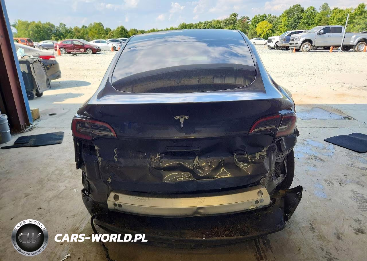 2025 Tesla Model Y VIN:7SAYGDED5SA377011 - 6