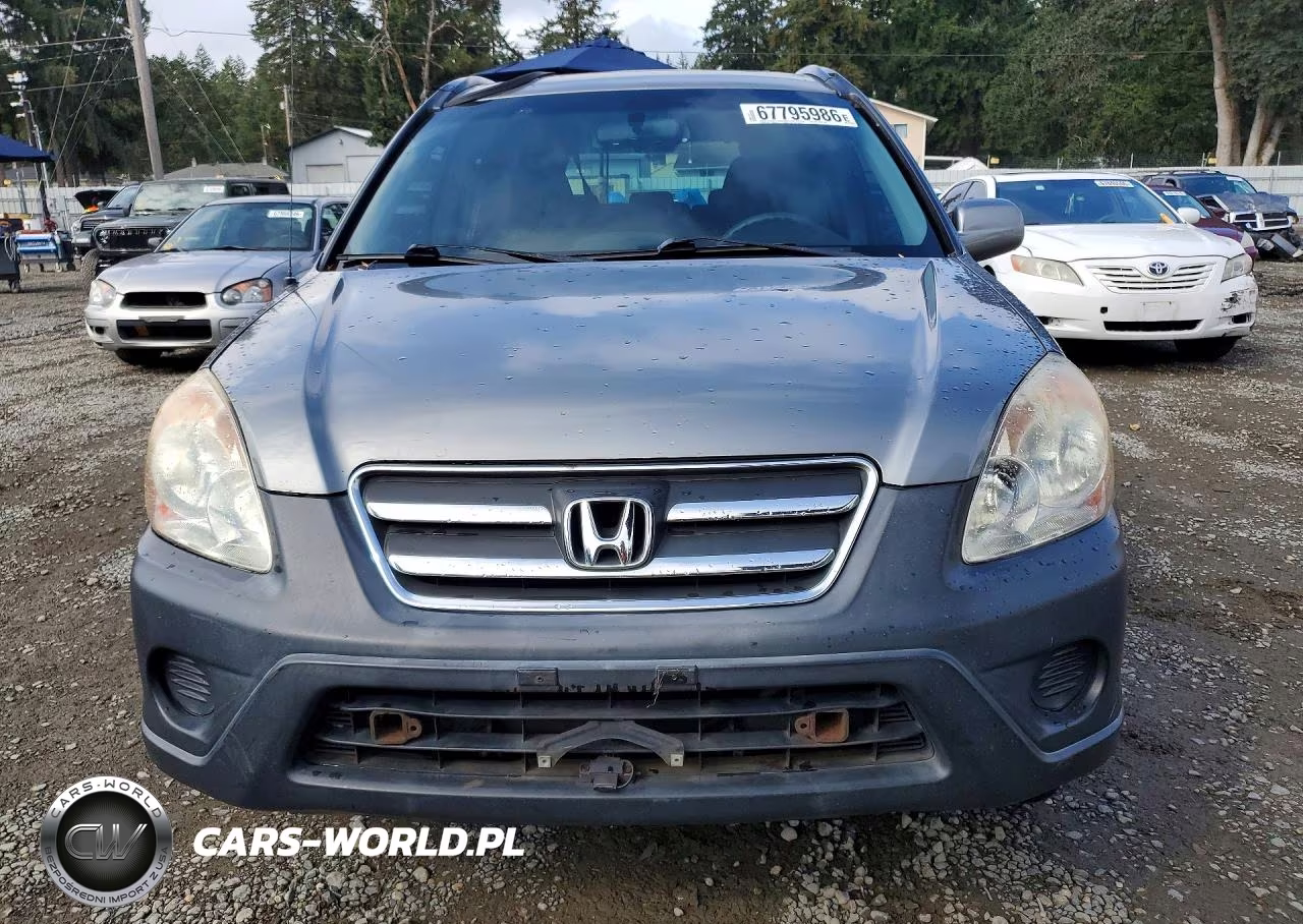 2006 Honda Cr-V Ex VIN:JHLRD68826C012671 - 5