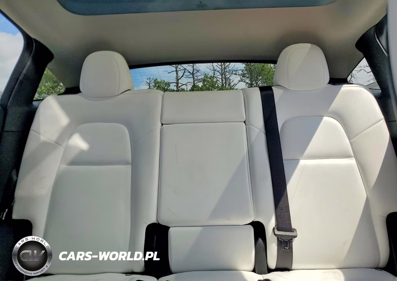 2023 Tesla Model Y VIN:7SAYGAEE8PF861529 - 10