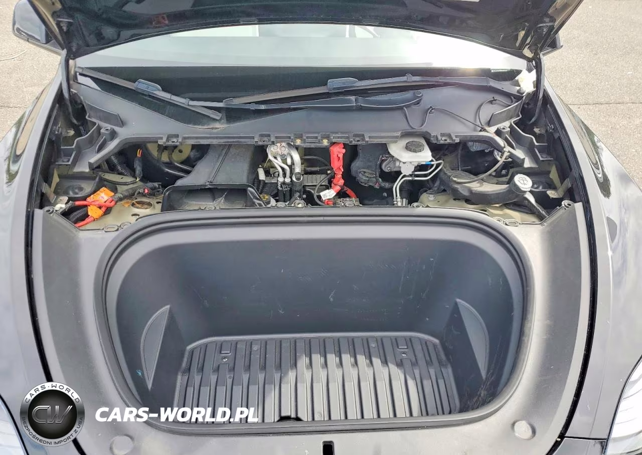 2023 Tesla Model Y VIN:7SAYGAEE8PF861529 - 12