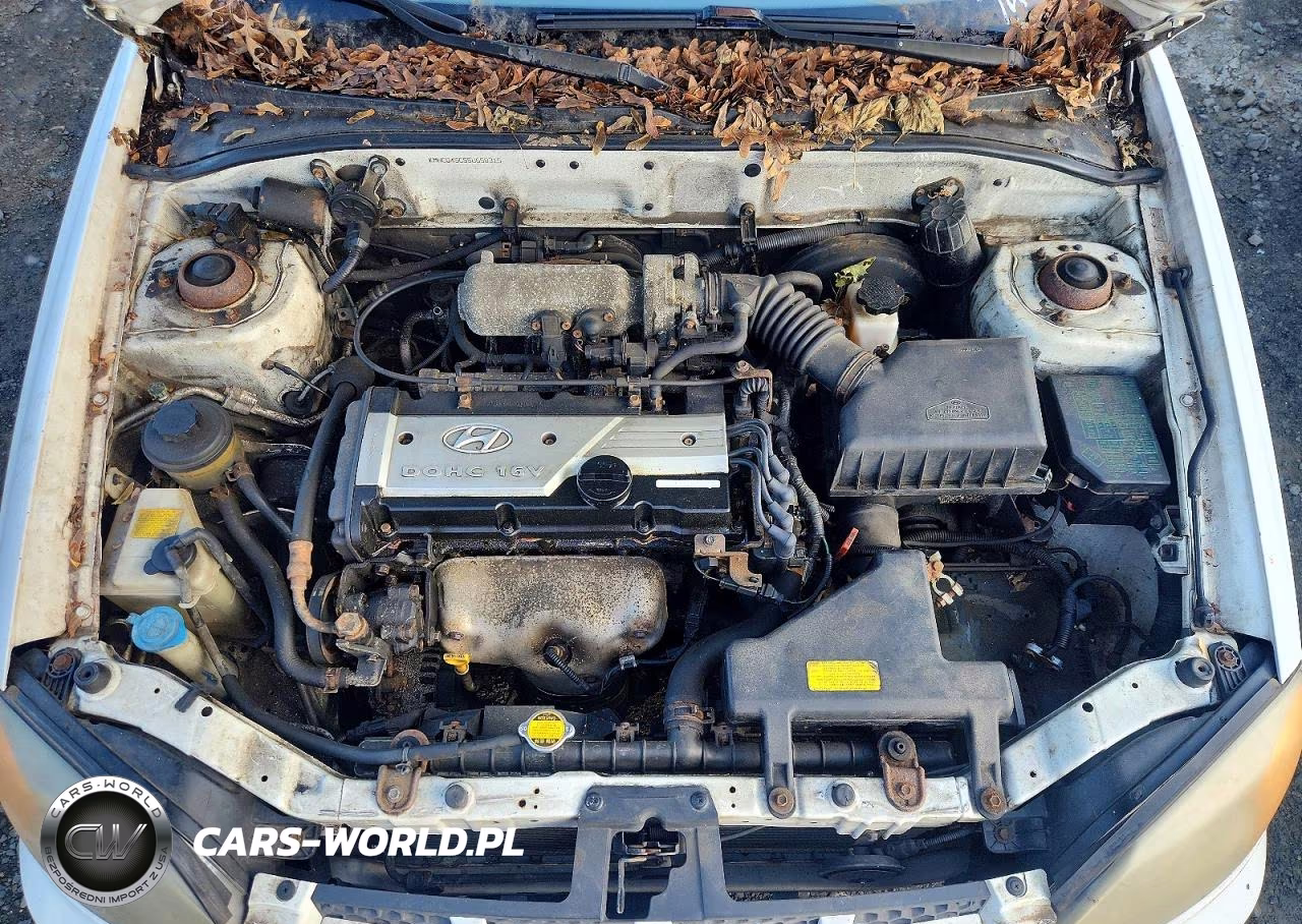 2005 Hyundai Accent Gls VIN:KMHCG45C55U658315 - 11