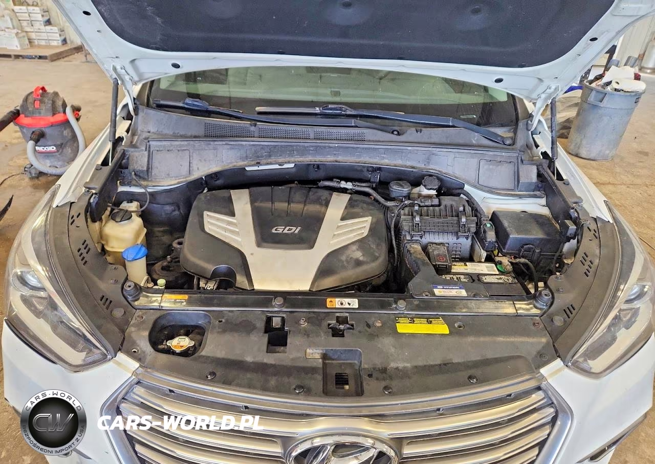 2017 Hyundai Santa Fe Se VIN:KM8SM4HF6HU172983 - 12