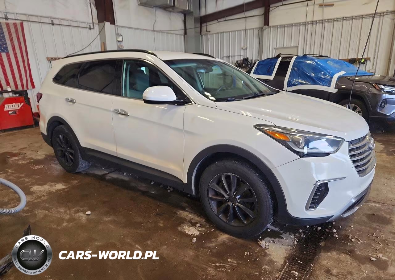 2017 Hyundai Santa Fe Se VIN:KM8SM4HF6HU172983 - 4