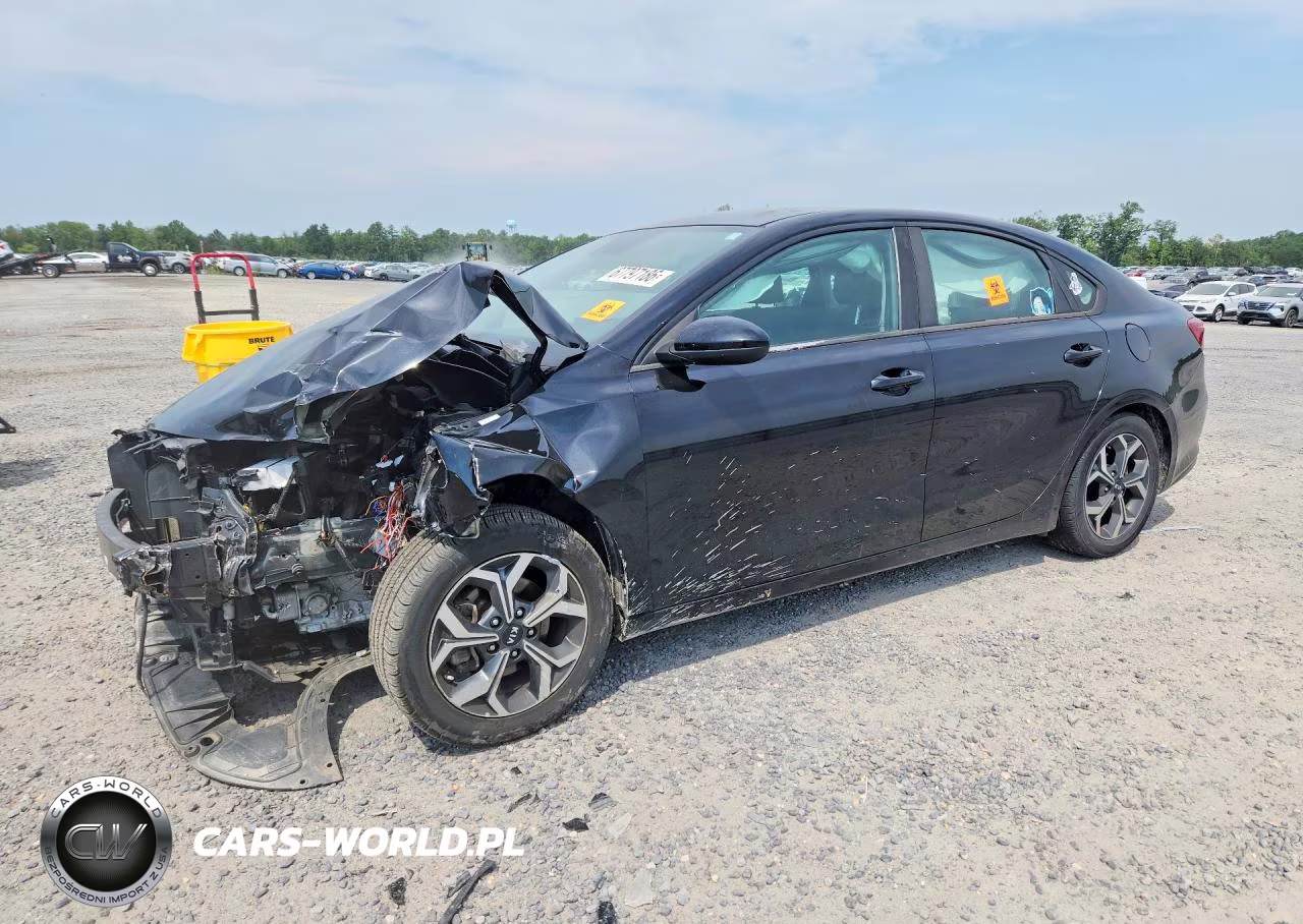 2019 Kia Forte Lxs