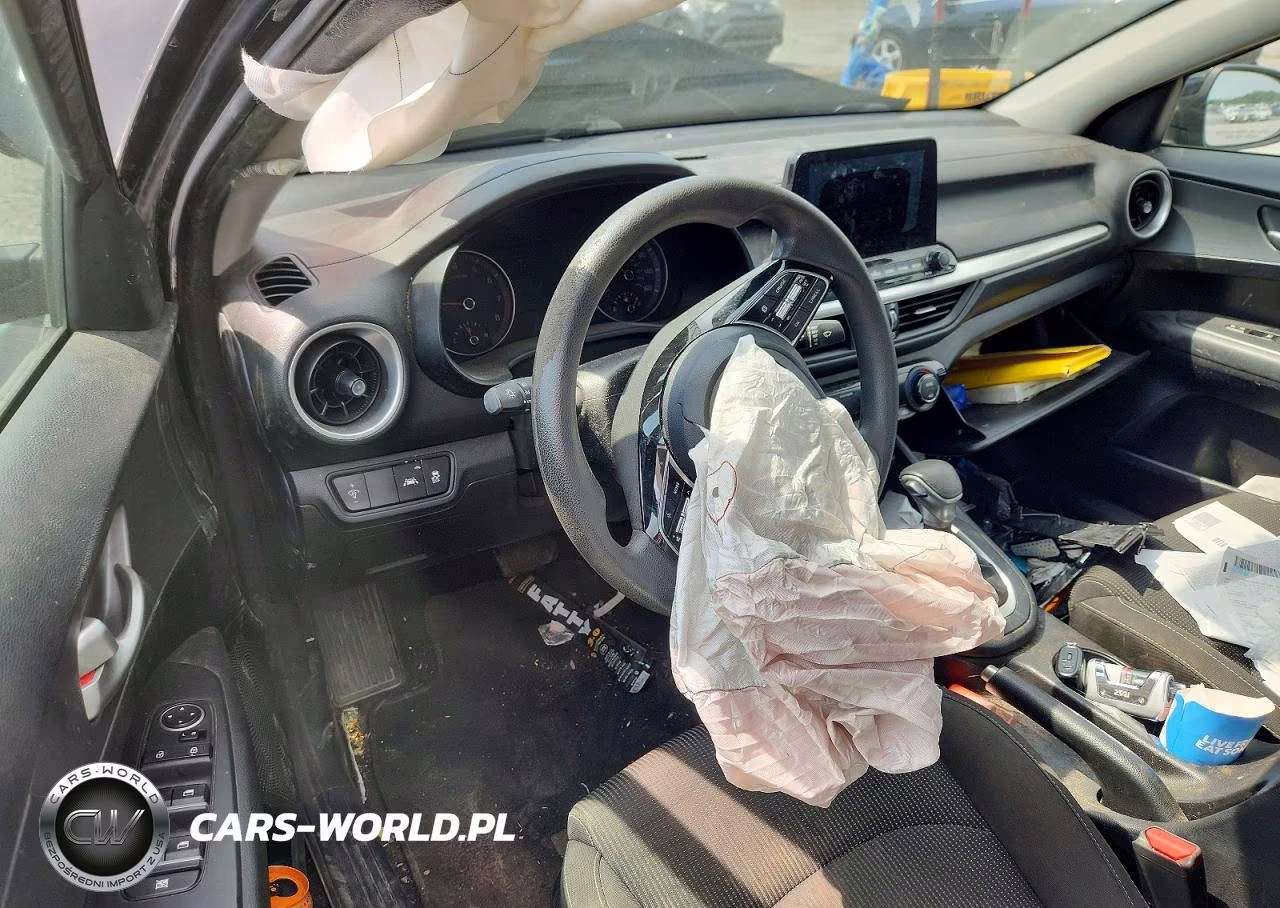 2019 Kia Forte Lxs VIN:3KPF24AD6KE130890 - 8
