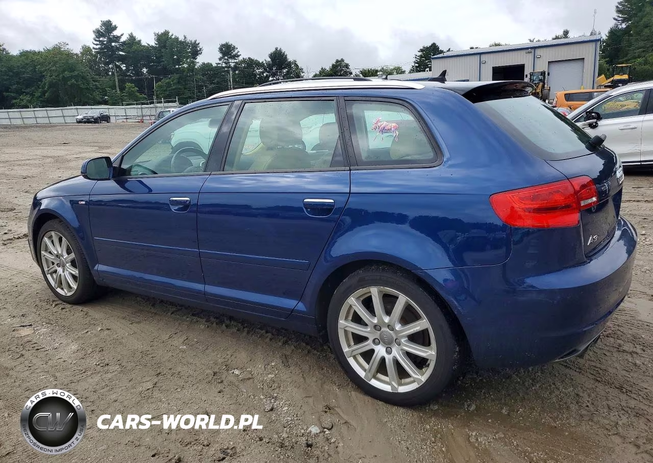 2013 Audi A3 Premium Plus VIN:WAUMFAFM2DA031649 - 2
