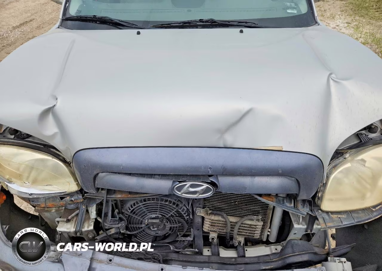 2006 Hyundai Santa Fe Gls VIN:KM8SC13D26U099342 - 12