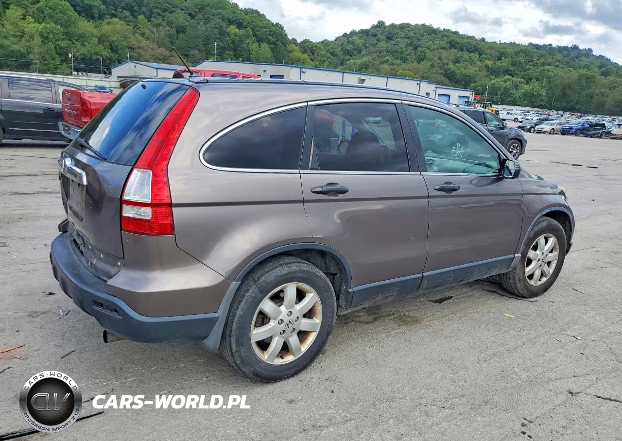 2009 Honda Cr-V Ex VIN:3CZRE48599G704619 - 3