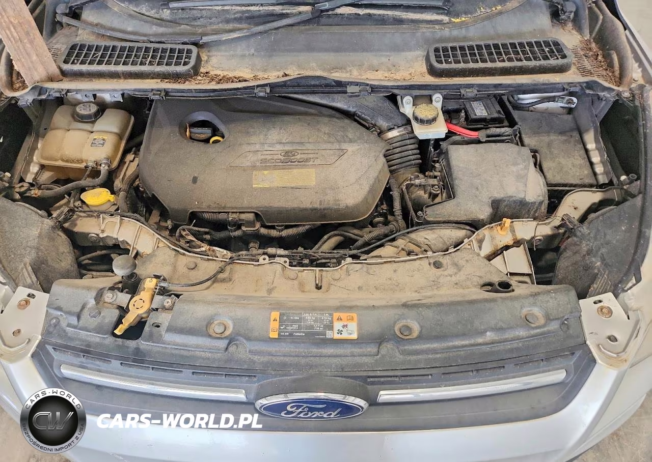 2013 Ford Escape Se VIN:1FMCU0GX2DUD91201 - 11