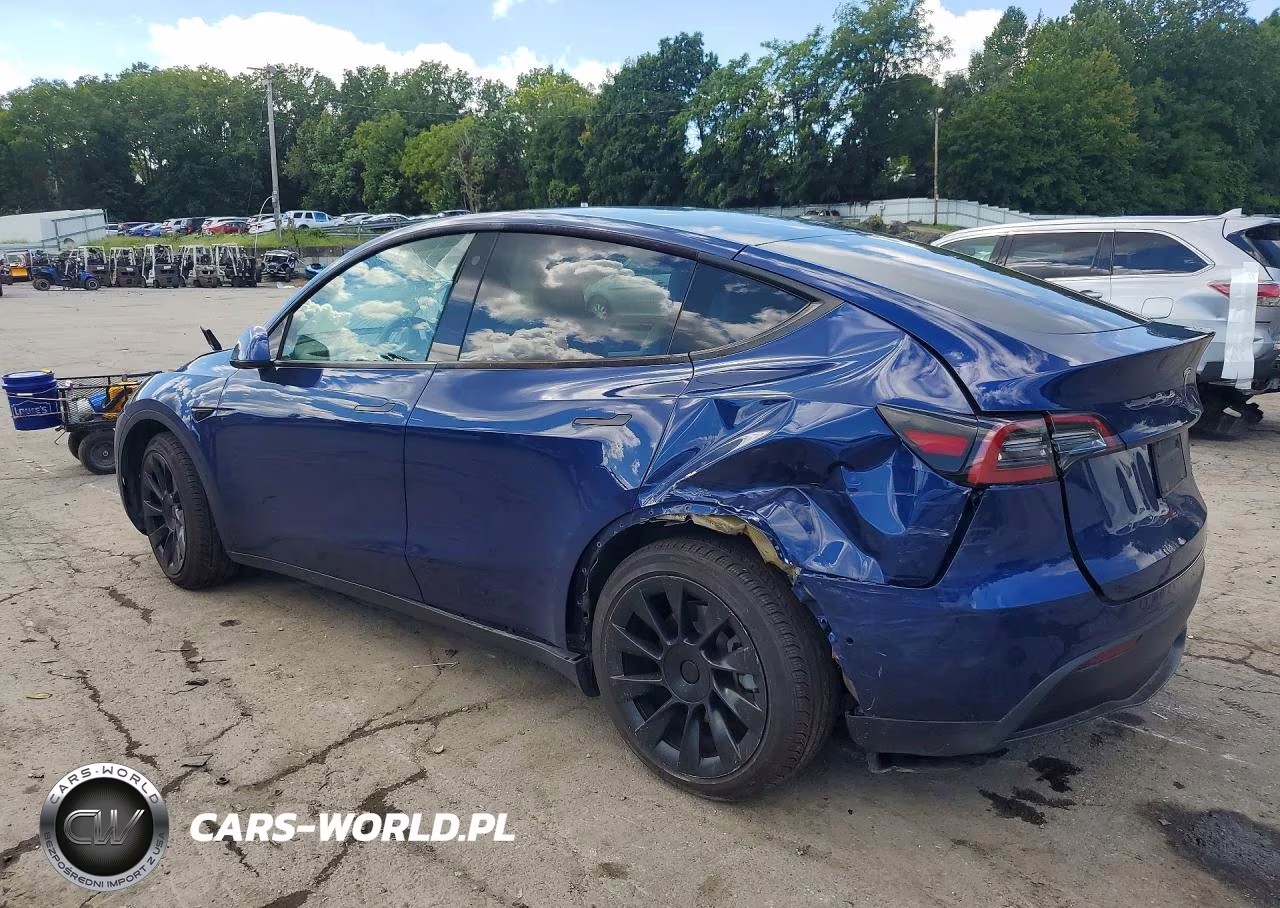 2021 Tesla Model Y VIN:5YJYGDEE7MF187142 - 2