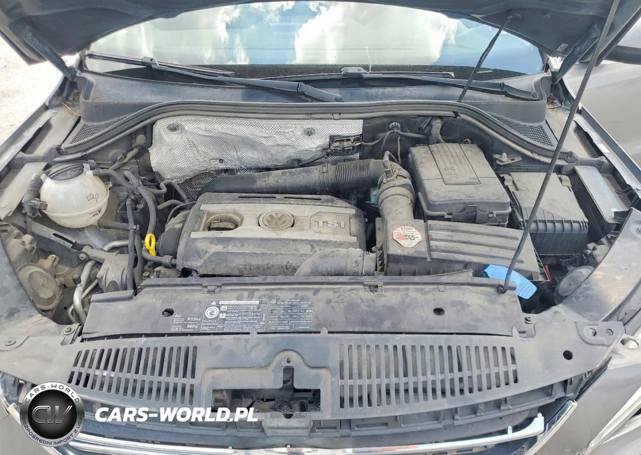 2009 Volkswagen Tiguan VIN:WVGAV95N19W000951 - 11