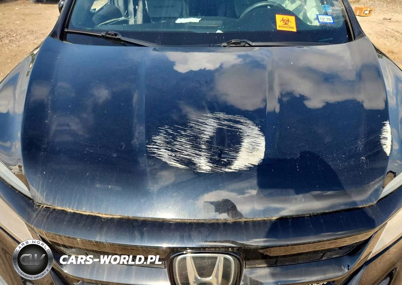 2020 Honda Pilot Black VIN:5FNYF6H7XLB027573 - 12