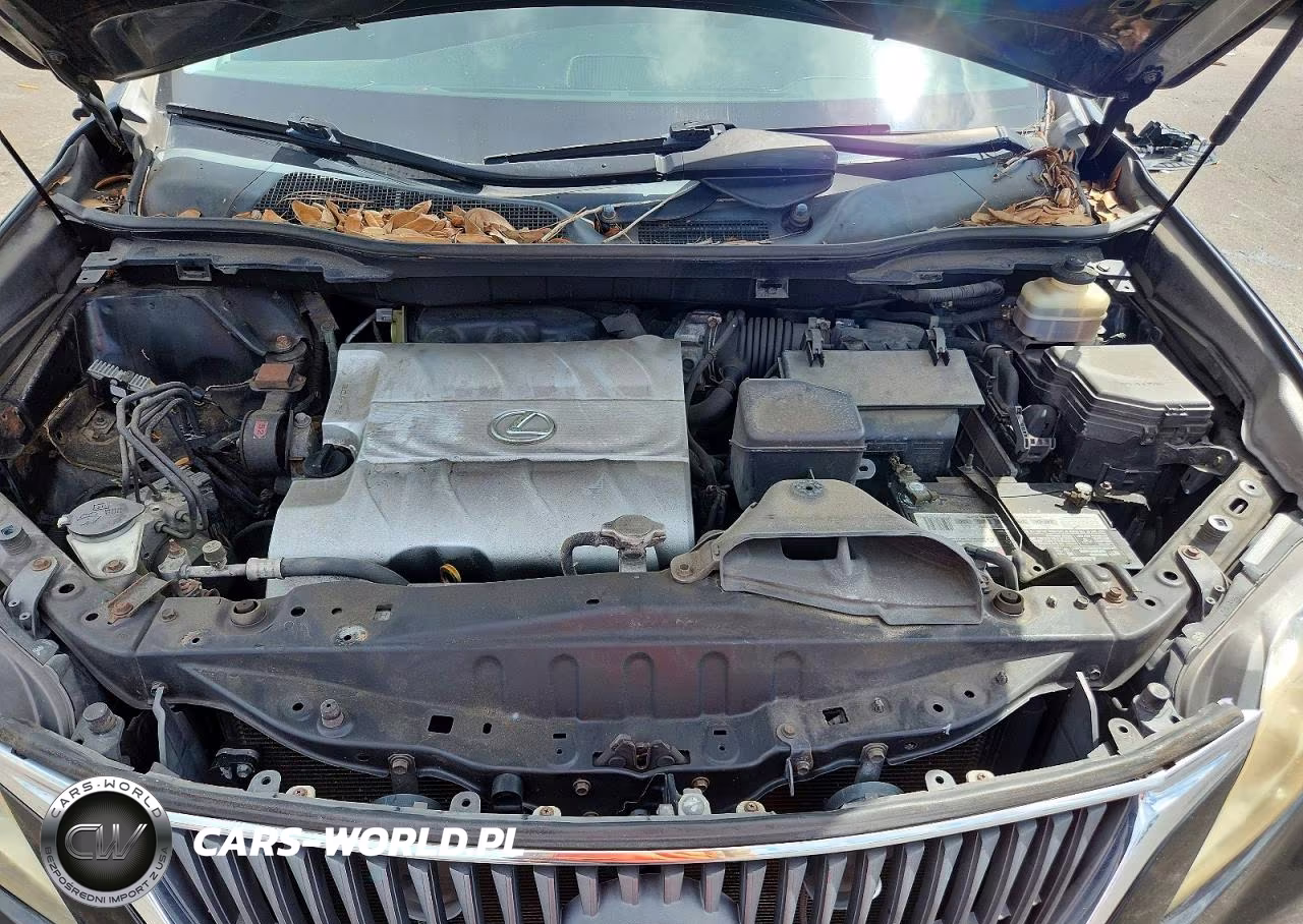 2010 Lexus Rx 350 VIN:JTJZK1BA7A2401903 - 12