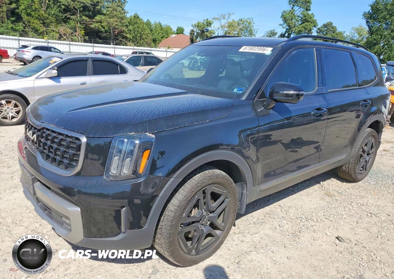 2023 Kia Telluride Sx X-Line VIN:5XYP5DGC6PG390307 - 1