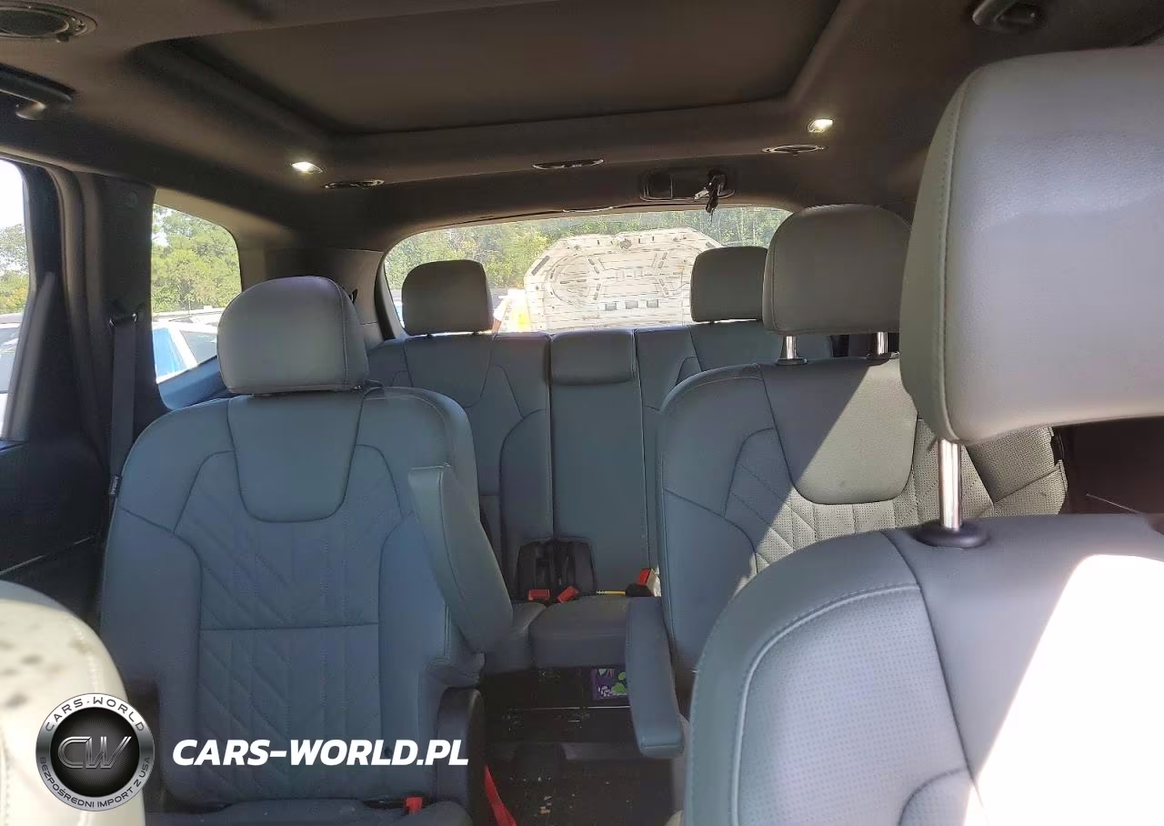 2023 Kia Telluride Sx X-Line VIN:5XYP5DGC6PG390307 - 10