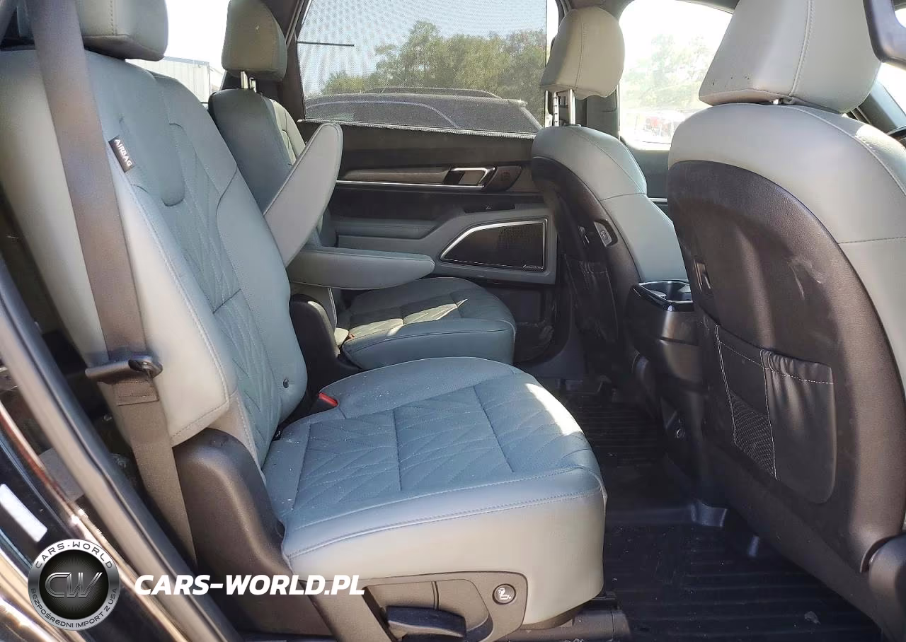 2023 Kia Telluride Sx X-Line VIN:5XYP5DGC6PG390307 - 11