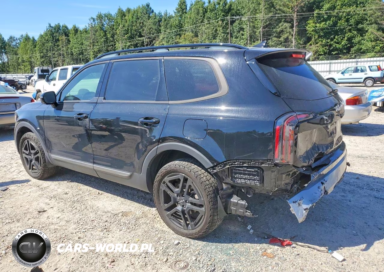 2023 Kia Telluride Sx X-Line VIN:5XYP5DGC6PG390307 - 2
