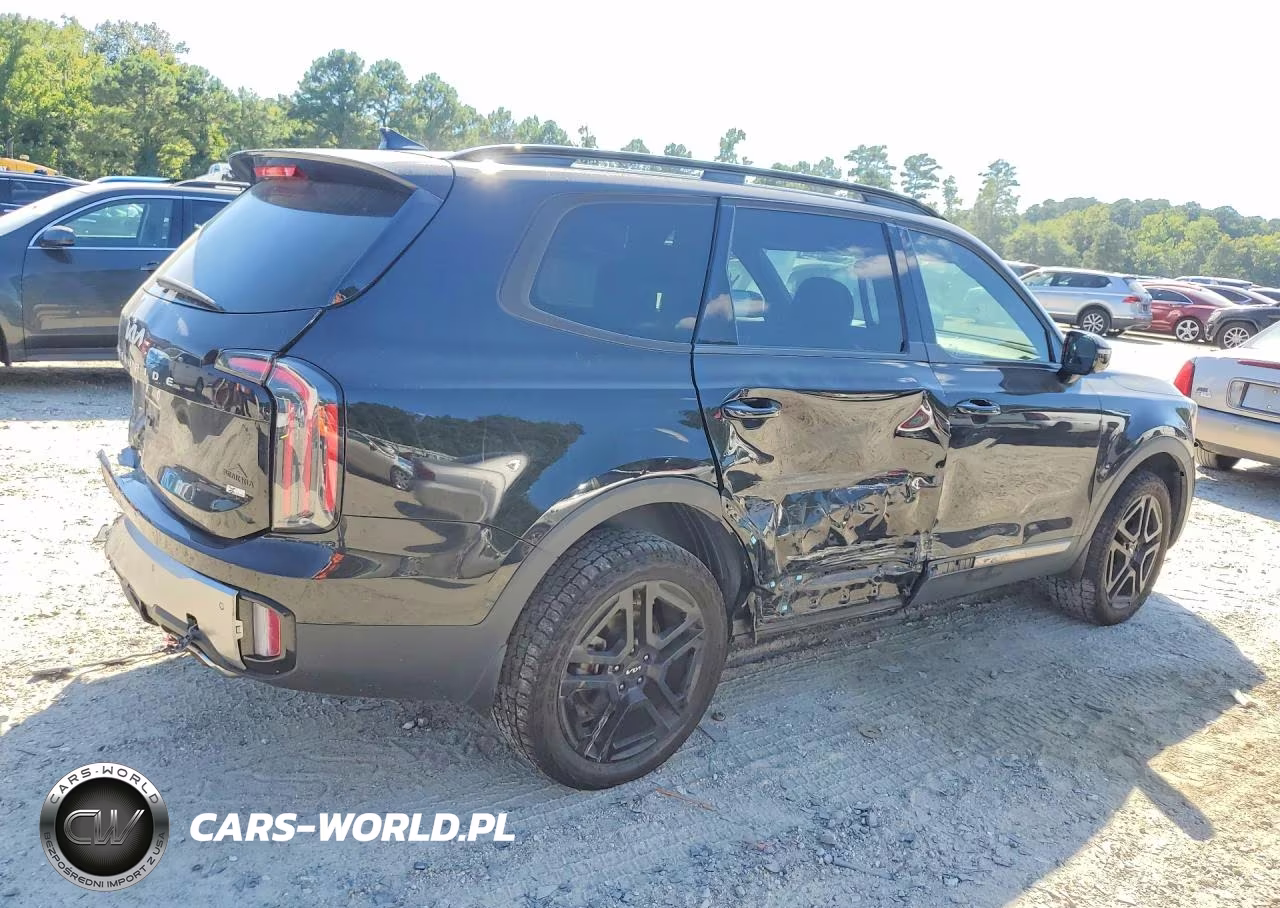 2023 Kia Telluride Sx X-Line VIN:5XYP5DGC6PG390307 - 3