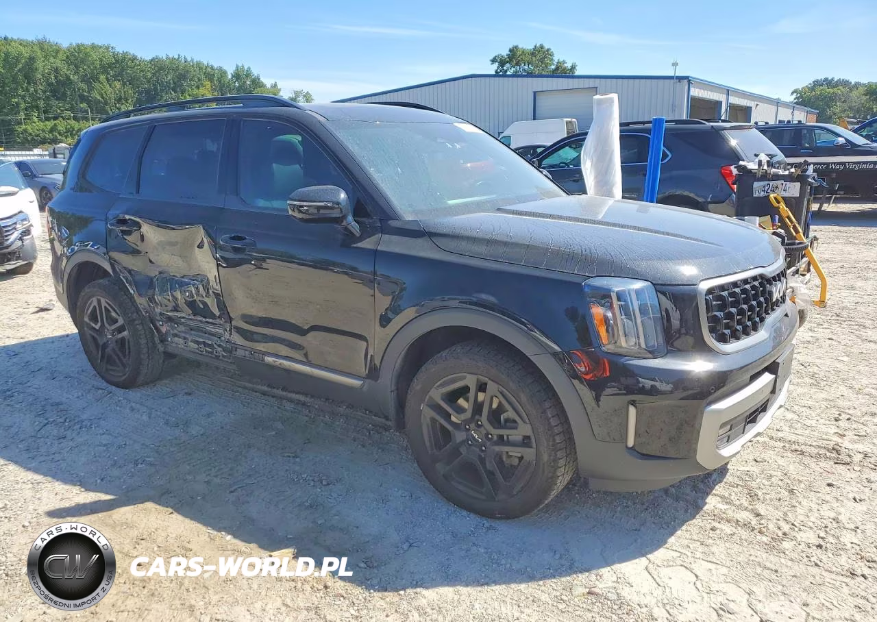 2023 Kia Telluride Sx X-Line VIN:5XYP5DGC6PG390307 - 4