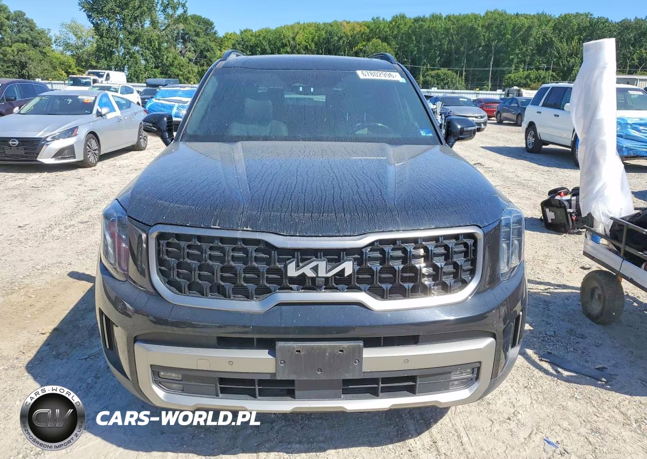 2023 Kia Telluride Sx X-Line VIN:5XYP5DGC6PG390307 - 5