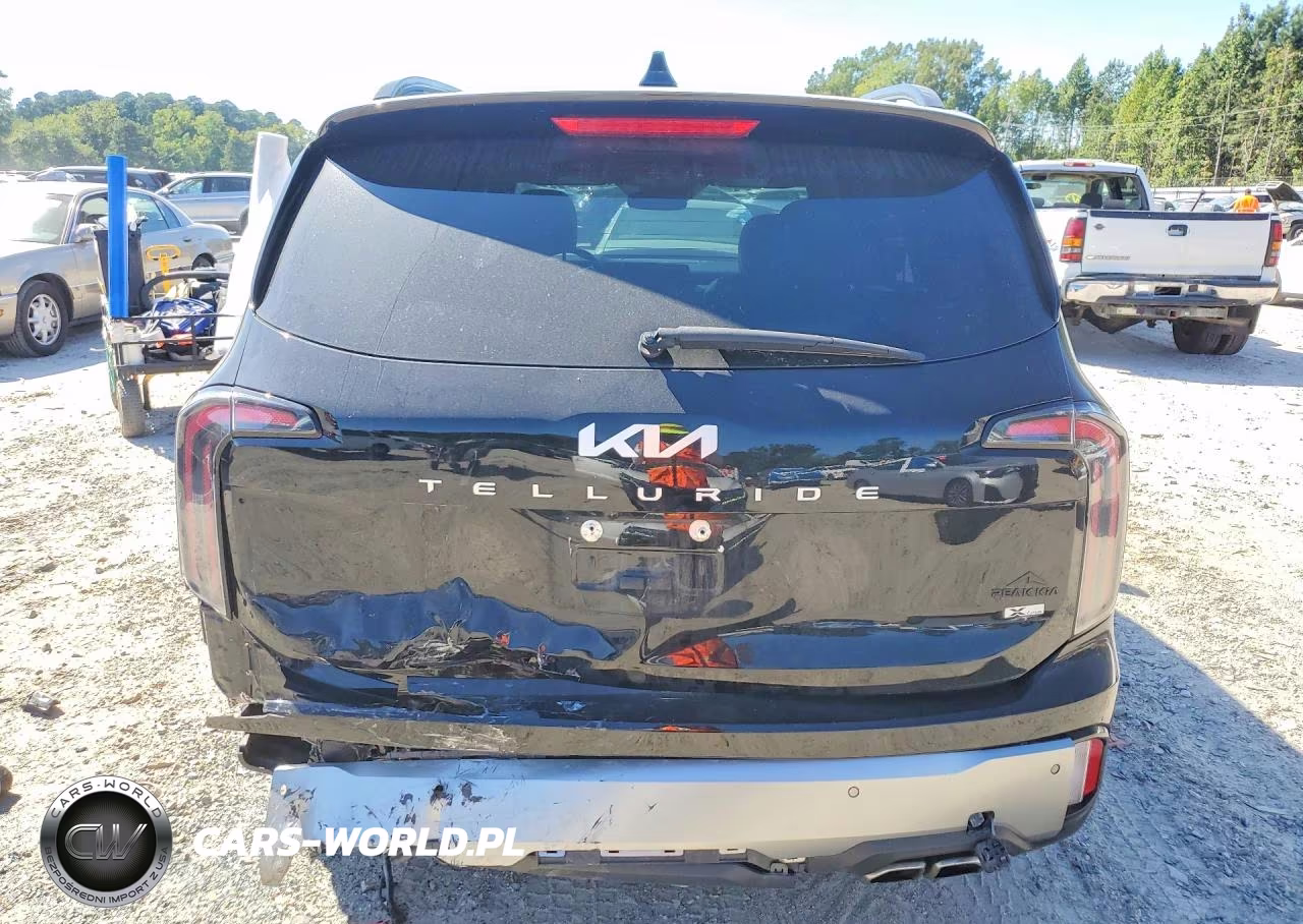 2023 Kia Telluride Sx X-Line VIN:5XYP5DGC6PG390307 - 6