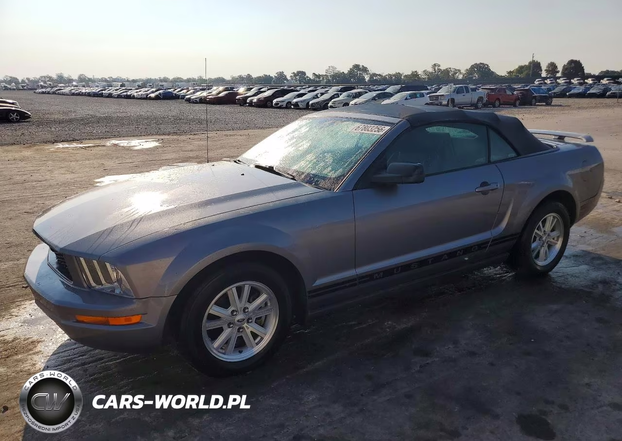 2006 Ford Mustang VIN:1ZVFT84N565226131 - 1