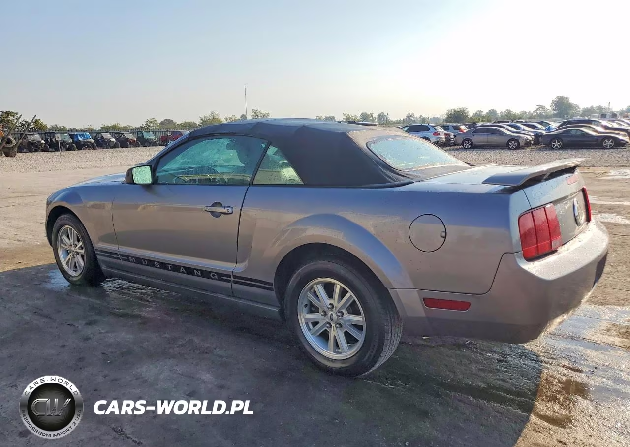 2006 Ford Mustang VIN:1ZVFT84N565226131 - 2